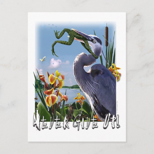 Postal ¡Nunca Rendirse! (Anverso)