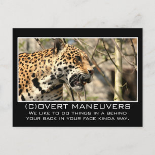 Postal Nunca te esconderíamos nada