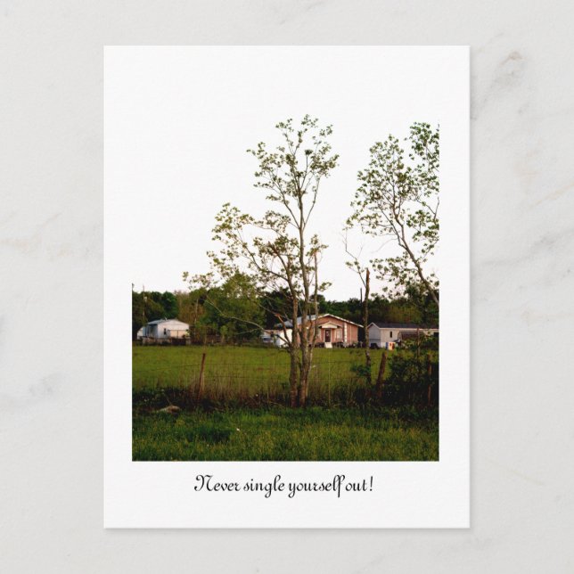 Postal ¡Nunca te metas! (Anverso)