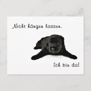 Postal Nur Mut