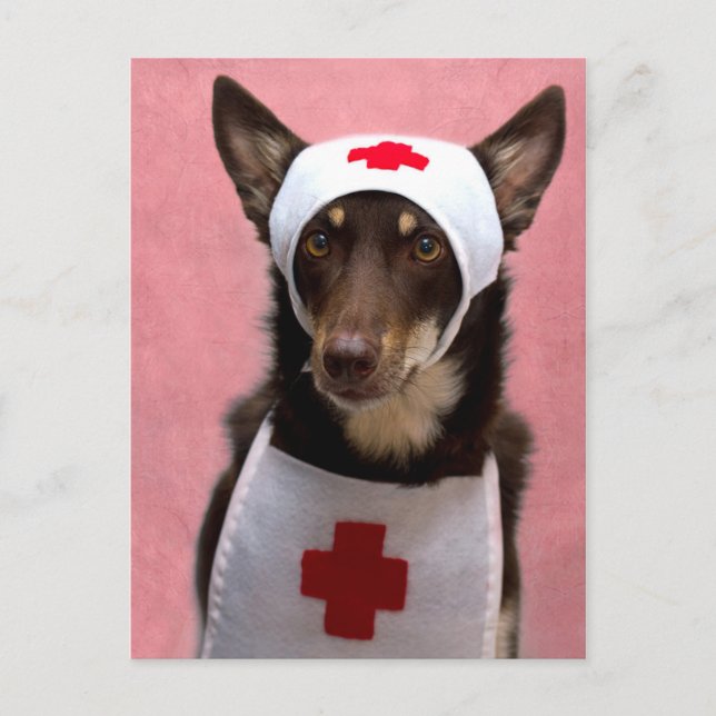 Postal Nurse Ally (Anverso)