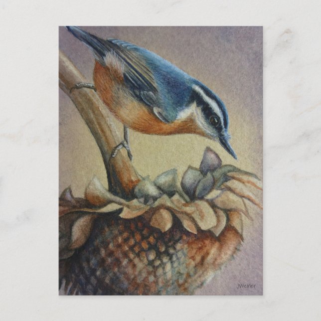 Postal Nuthatch Bird and Sunflower Seed Watercolor Art (Anverso)