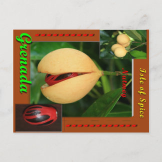 Postal Nutmeg
