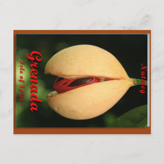 Postal Nutmeg