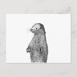 Postal Nutria