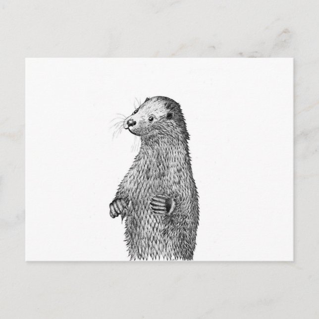 Postal Nutria (Anverso)