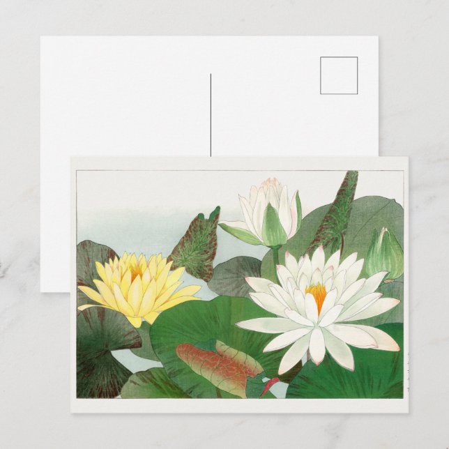 Postal Nymphaea lotus, grabado en madera japonés, 1917 (Anverso / Reverso)