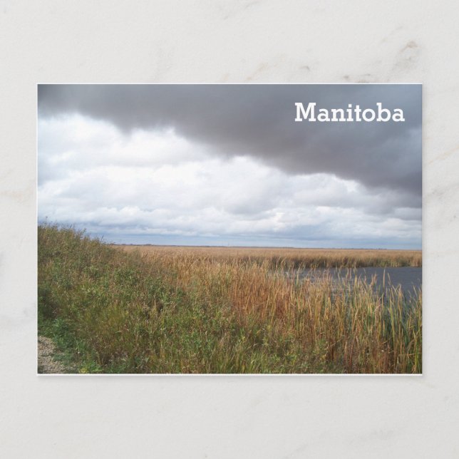 Postal Oak Hammock Marsh (Anverso)