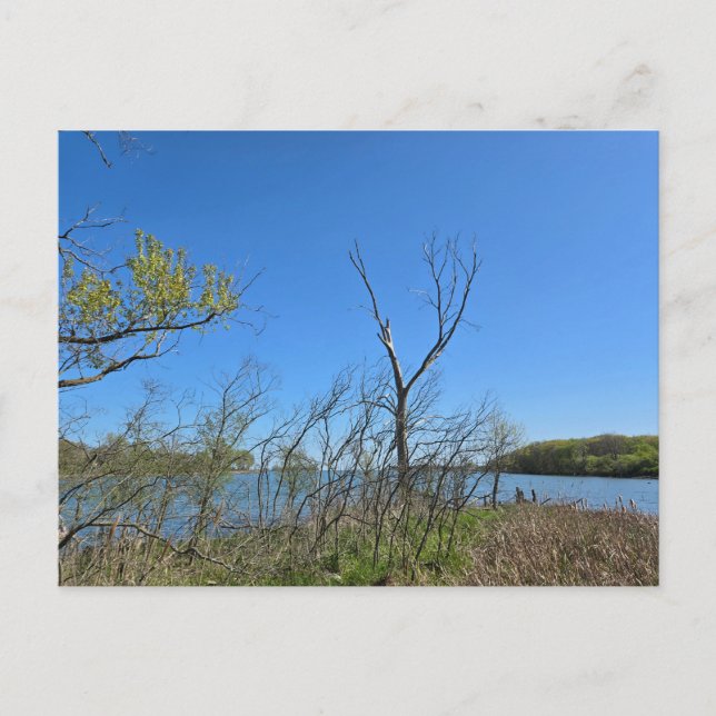 Postal Oak Harbour, Ohio (Anverso)