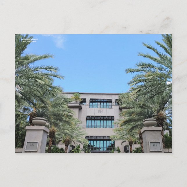 Postal Oasis de Palm Occidental (Anverso)