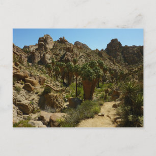 Postal Oasis de palmeras perdidas en el Parque Nacional d