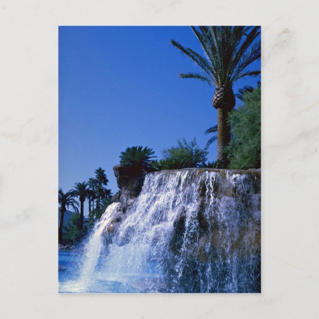 Postal Oasis del desierto (Anverso)