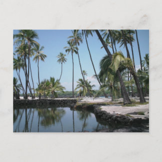 Postal Oasis hawaiano