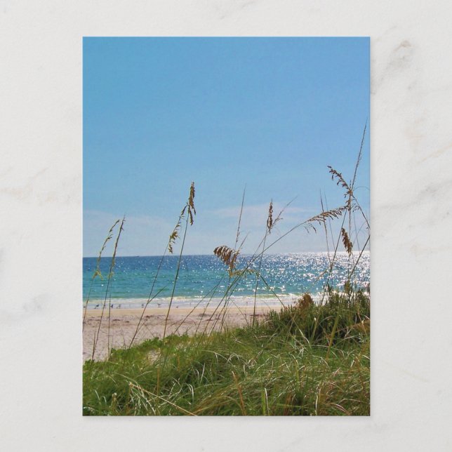 Postal Oats de playa y mar (Anverso)
