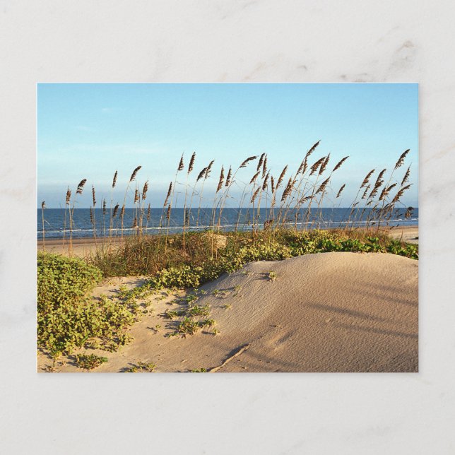 Postal Oats marinos y dunas (Anverso)
