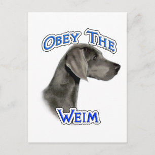 Postal Obedezca a Weimaraner