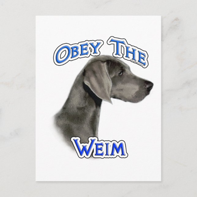 Postal Obedezca a Weimaraner (Anverso)