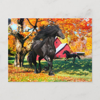 Postal "Oberon En Otoño"