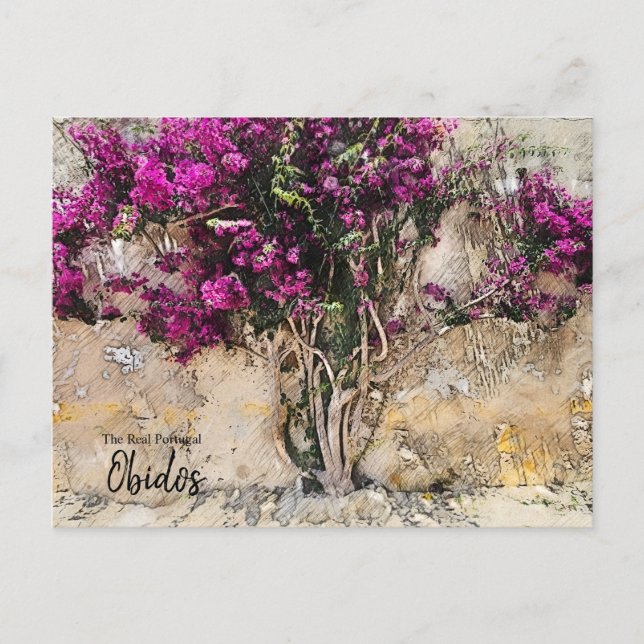 Postal Obidos Colores Portugal (Anverso)