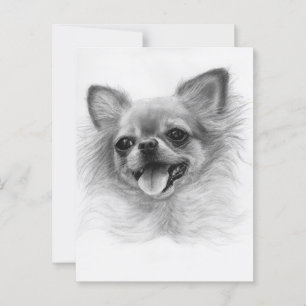 Postal Obra artística de Beauty-Chihuahua pintada a mano