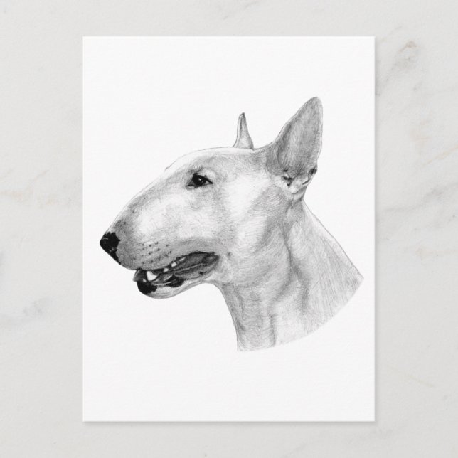 Postal Obra artística de Hand Drall Bull Terrier (Anverso)