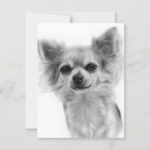 Postal Obra de arte de perro pintada a mano de Chihuahua