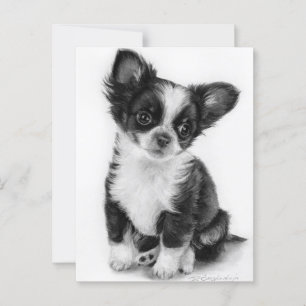 Postal Obra de arte de porras de Chihuahua dibujada a man