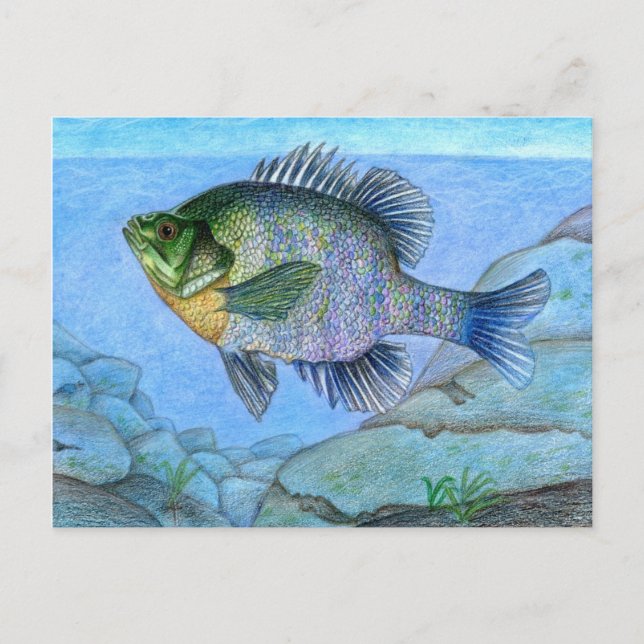 Postal Obra de arte ganadora de L. Luan, grado 7 (Anverso)