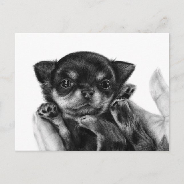 Postal Obra de arte pintada a mano de cachorro de Chihuah (Anverso)