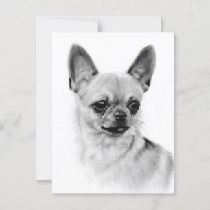 Postal Obra de arte pintada por la expresión Chihuahua