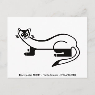 Postal Obra manual - FERRET - Conservación - Naturaleza-