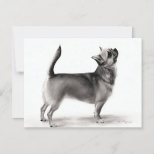 Postal Obras de arte de perros pintadas a mano de Chihuah