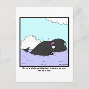Postal Observación de ballenas: Personalizado de ballenas