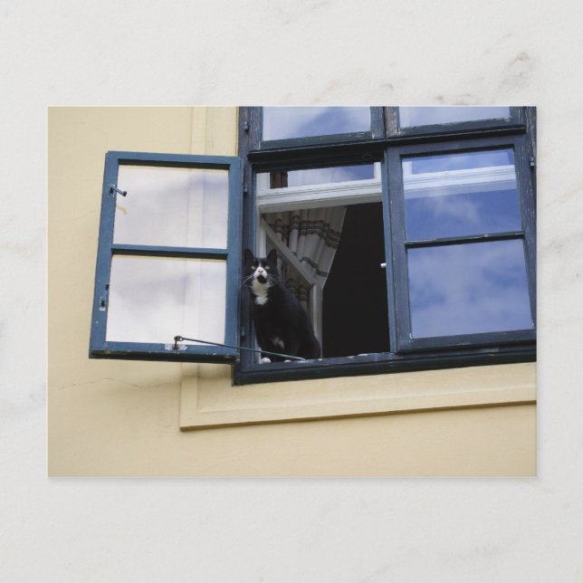 Postal Observador (Anverso)