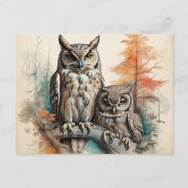 Postal Observadores silenciosos de la selva (Anverso)