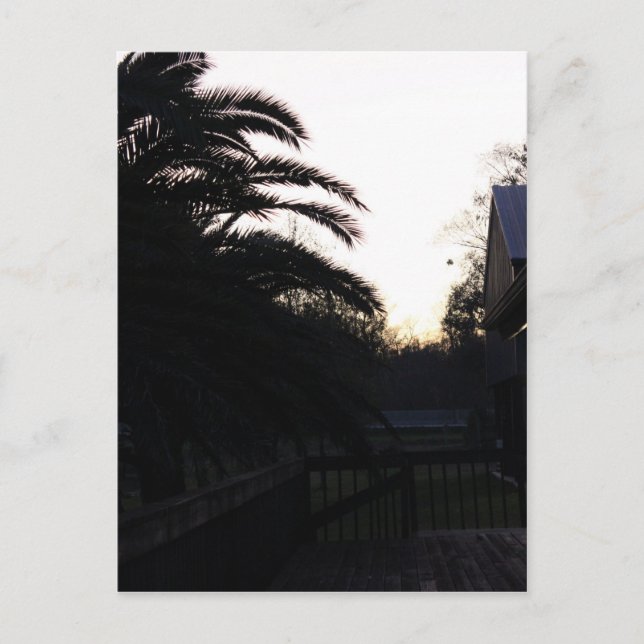 Postal Observando la puesta de sol (Anverso)