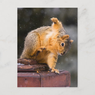 Postal Observar tu paso