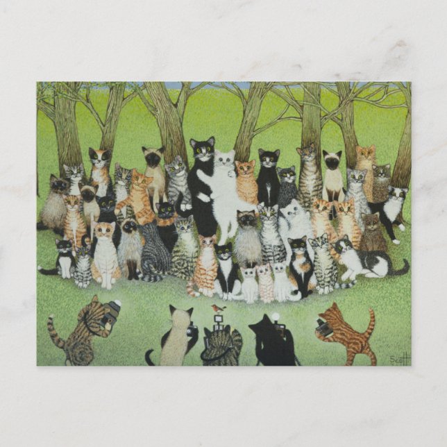 Postal Observen a los Birdie (Anverso)