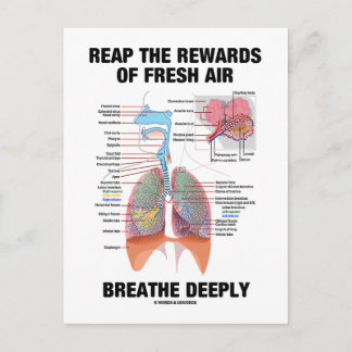 Postal Obtén Las Recompensas De La Respiración Del Aire F