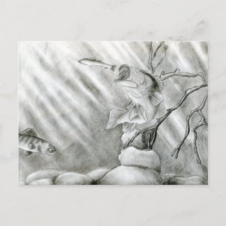 Postal Obteniendo arte de A. Steiger - Grado 10