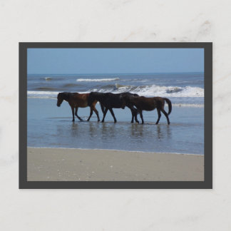 POSTAL OBX