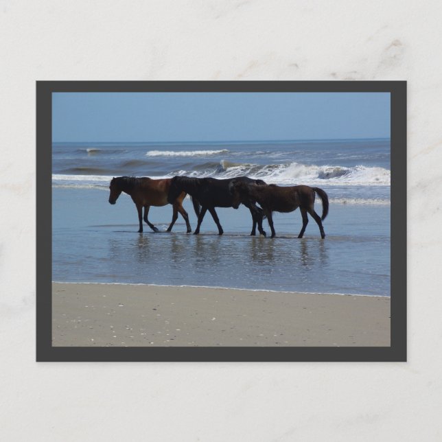 POSTAL OBX (Anverso)