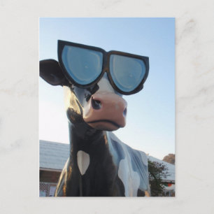 Postal OC Fair