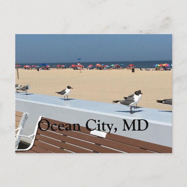 Postal Ocean City Beach, MD con aves (Anverso)