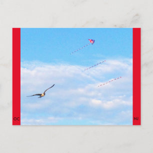 Postal Ocean City, New Jersey Post Card-Fly