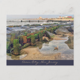 Postal Ocean City, New Jersey Post Card-Morning Swimmer