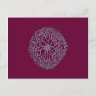 POSTAL OCEAN URCHIN