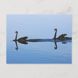 Postal Oceanía, Nueva Zelandia, isla del Sur, Hokitika -