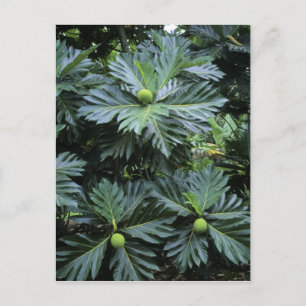 Postal Oceanía, Pacífico Sur, Polinesia Francesa,