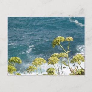Postal oceánica